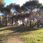 IMG-20180129-WA0001