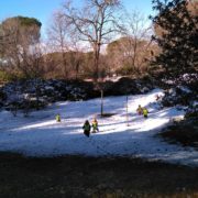 IMG-20180206-WA0004